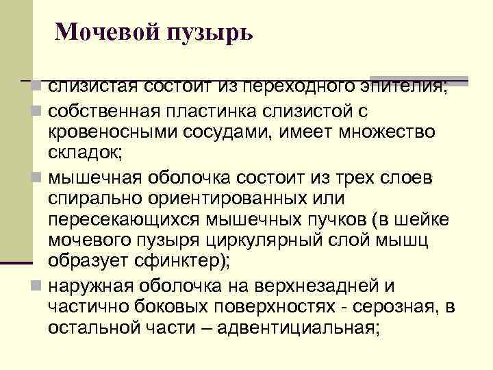 Мочевой пузырь n слизистая состоит из переходного эпителия; n собственная пластинка слизистой с кровеносными