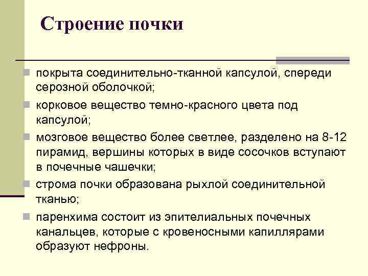 Строение почки n покрыта соединительно-тканной капсулой, спереди n n серозной оболочкой; корковое вещество темно-красного