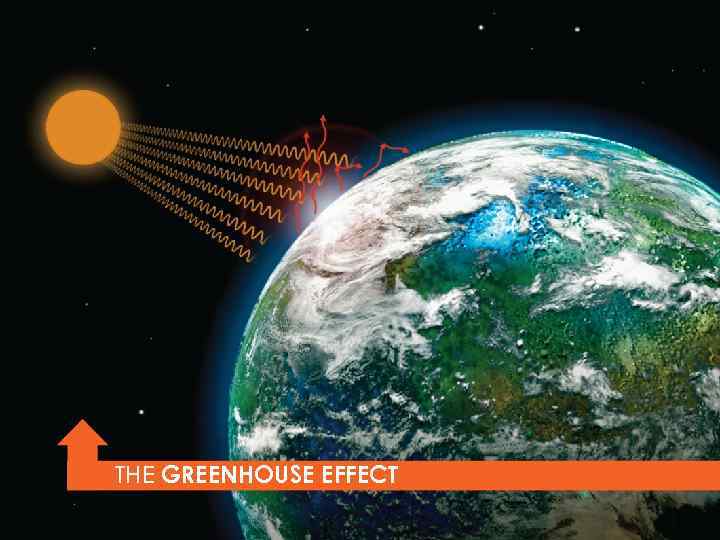 THE GREENHOUSE EFFECT 