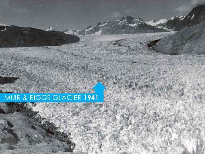 MUIR & RIGGS GLACIER 1941 