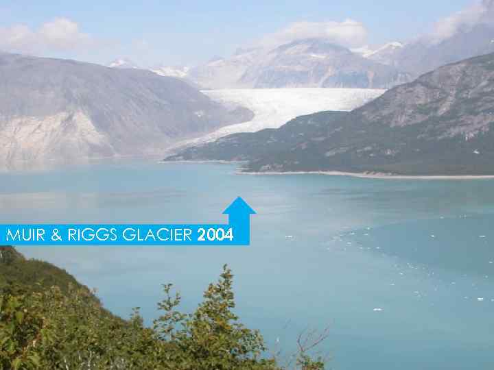 MUIR & RIGGS GLACIER 2004 