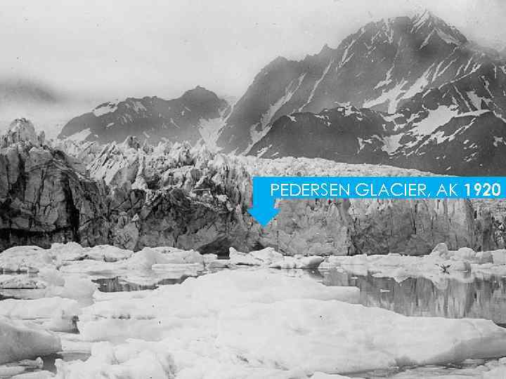 PEDERSEN GLACIER, AK 1920 