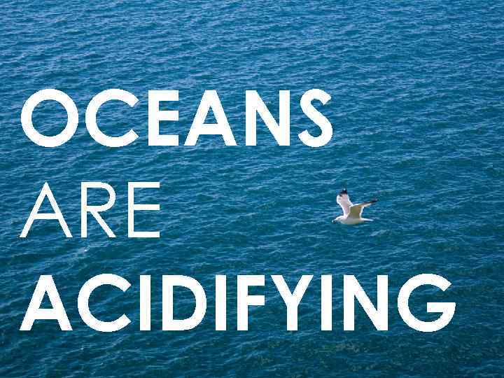 OCEANS ARE ACIDIFYING 