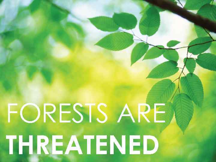 FORESTS ARE THREATENED 