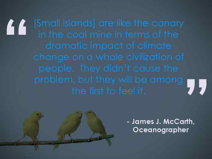 “ [Small islands] are like the canary in the coal mine in terms of