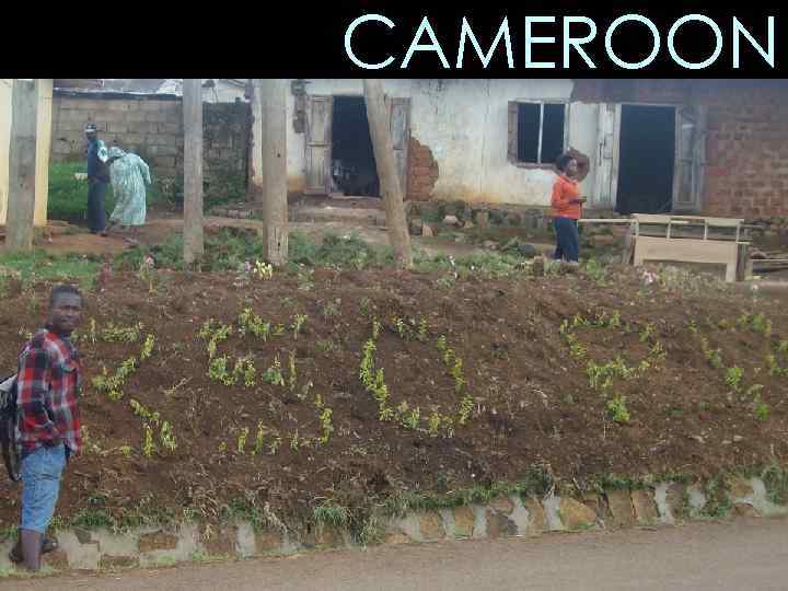 CAMEROON 