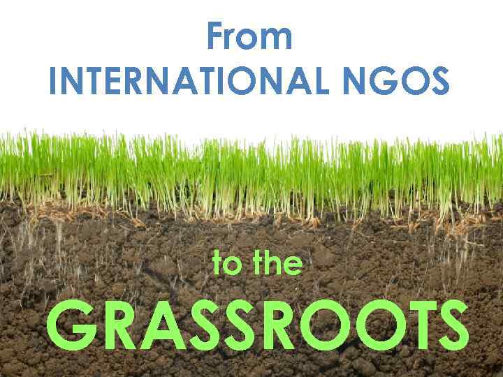 From INTERNATIONAL NGOS to the GRASSROOTS 