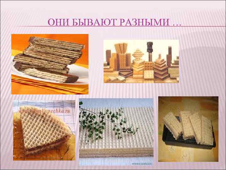 ОНИ БЫВАЮТ РАЗНЫМИ … 