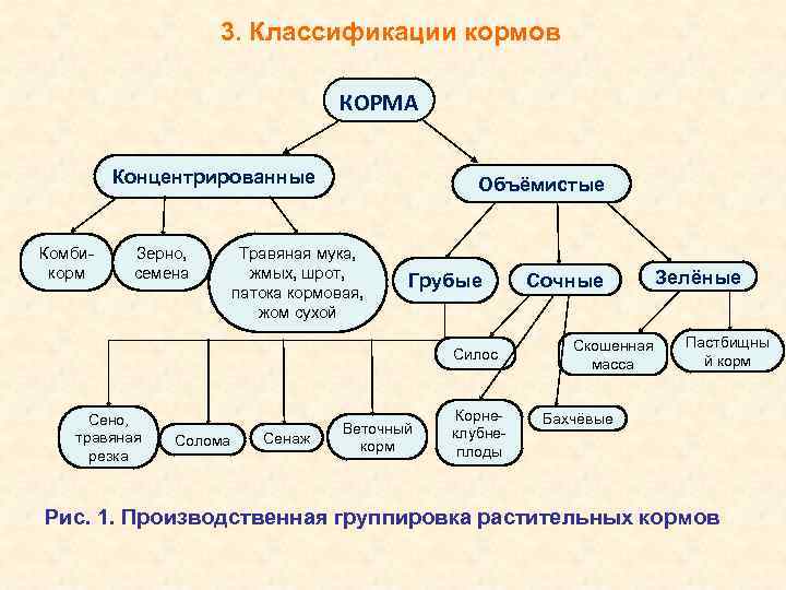 Схема классификации кормов