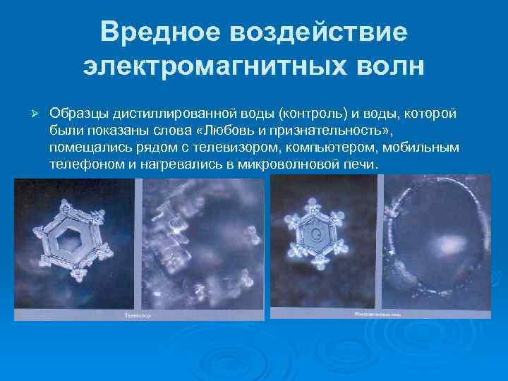 Вредное воздействие электромагнитных волн Ø Образцы дистиллированной воды (контроль) и воды, которой были показаны