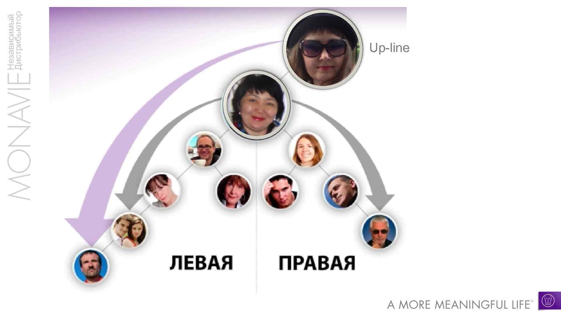 Независимый Дистрибьютор Up-line 