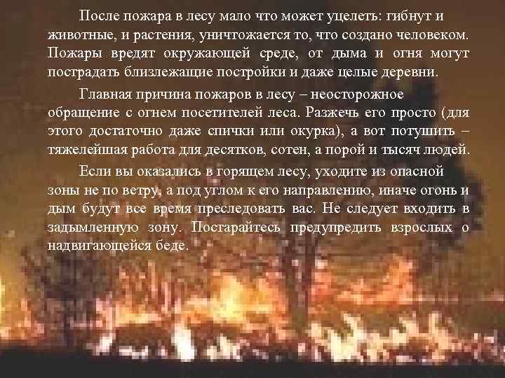 После пожара в лесу мало что может уцелеть: гибнут и животные, и растения, уничтожается