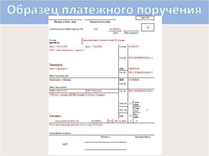 Образец платежного поручения 