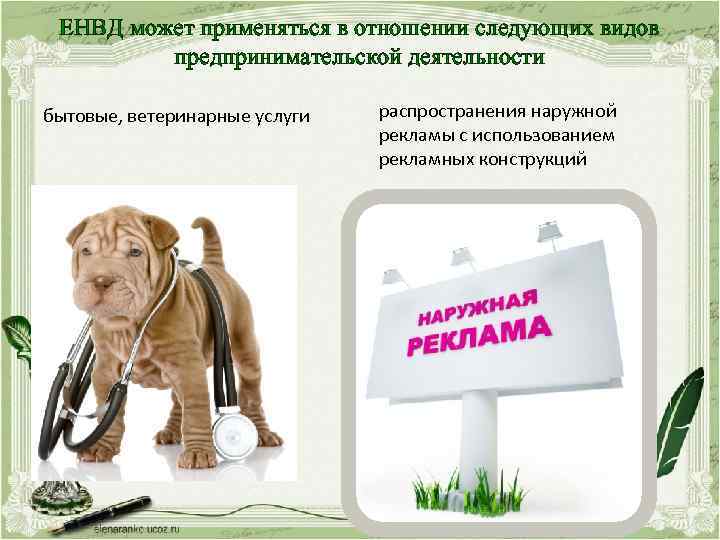 ЕНВД может применяться в отношении следующих видов предпринимательской деятельности бытовые, ветеринарные услуги распространения наружной
