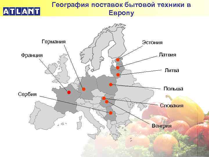 География поставок бытовой техники в Европу Германия Франция Эстония Латвия Литва Сербия Польша Словакия