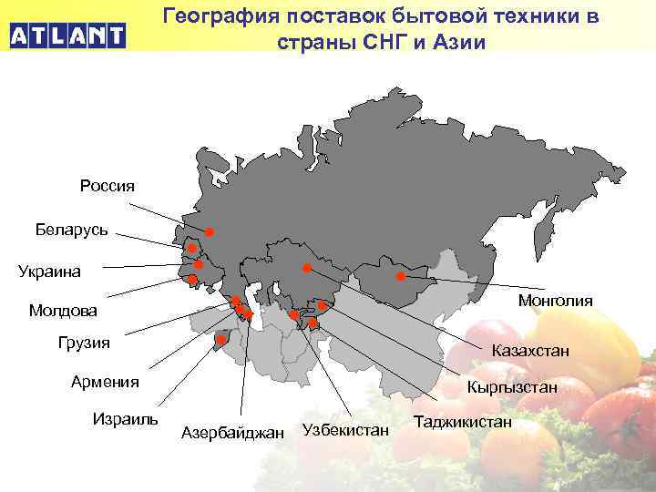 География поставок бытовой техники в страны СНГ и Азии Россия Беларусь Украина Монголия Молдова