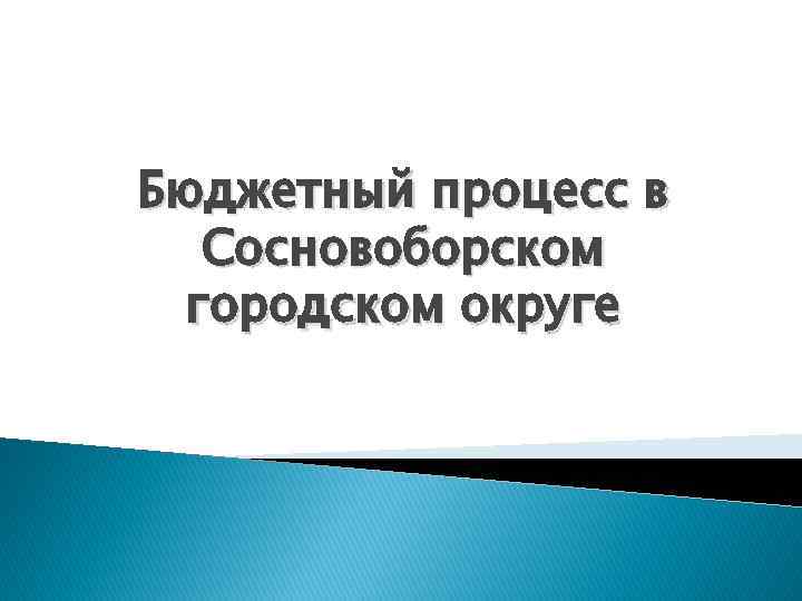 Бюджетный процесс в Сосновоборском городском округе 