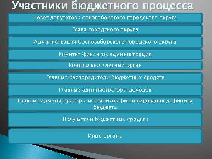 Участники бюджетного процесса Совет депутатов Сосновоборского городского округа Глава городского округа Администрация Сосновоборского городского