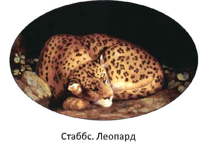 Стаббс. Леопард 