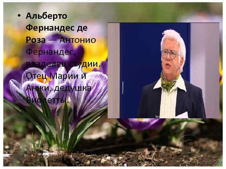  • Альберто Фернандес де Роза — Антонио Фернандес, владелец студии. Отец Марии и