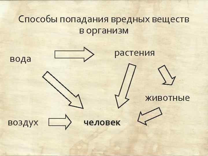 Способы попадания вредных веществ в организм вода растения животные воздух человек 