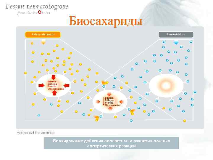 formulación suiza Биосахариды Блокирование действия аллергенов и развития ложных аллергических реакций 