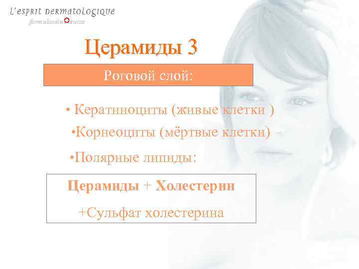 formulación suiza Церамиды 3 Роговой слой: • Кератиноциты (живые клетки ) • Корнеоциты (мёртвые