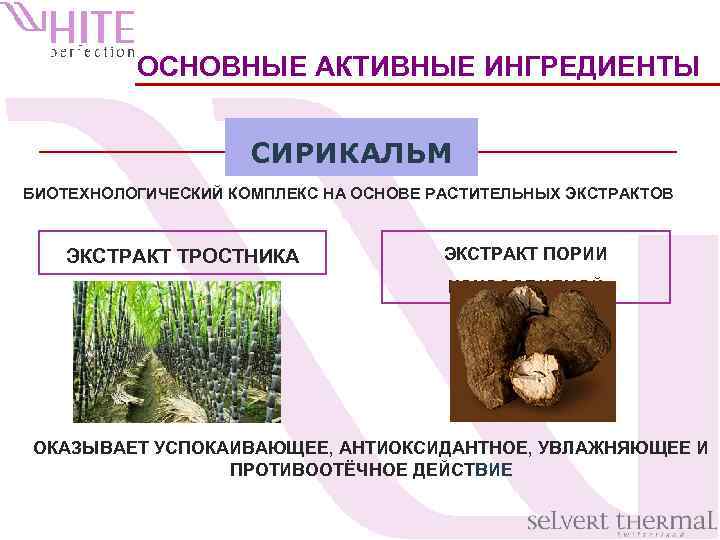 ОСНОВНЫЕ АКТИВНЫЕ ИНГРЕДИЕНТЫ СИРИКАЛЬМ БИОТЕХНОЛОГИЧЕСКИЙ КОМПЛЕКС НА ОСНОВЕ РАСТИТЕЛЬНЫХ ЭКСТРАКТОВ ЭКСТРАКТ ТРОСТНИКА ЭКСТРАКТ ПОРИИ