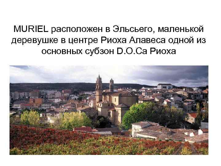 MURIEL расположен в Эльсьего, маленькой деревушке в центре Риоха Алавеса одной из основных субзон