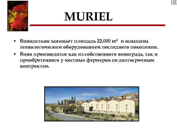 MURIEL • Винодельня занимает площадь 22. 000 m 2 и оснащена технологическим оборудованием последнего