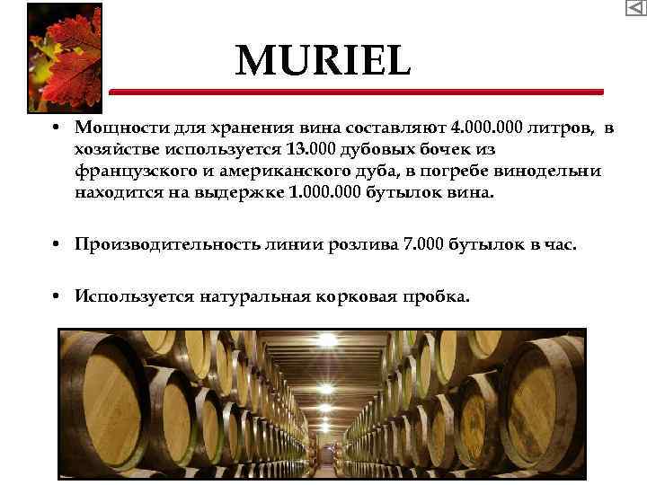 MURIEL • Мощности для хранения вина составляют 4. 000 литров, в хозяйстве используется 13.