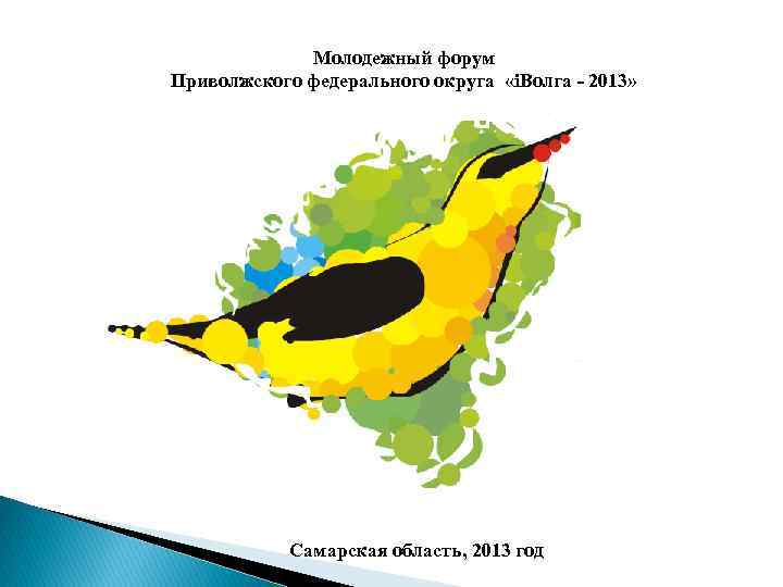 Молодежный форум Приволжского федерального округа «i. Волга - 2013» Самарская область, 2013 год 