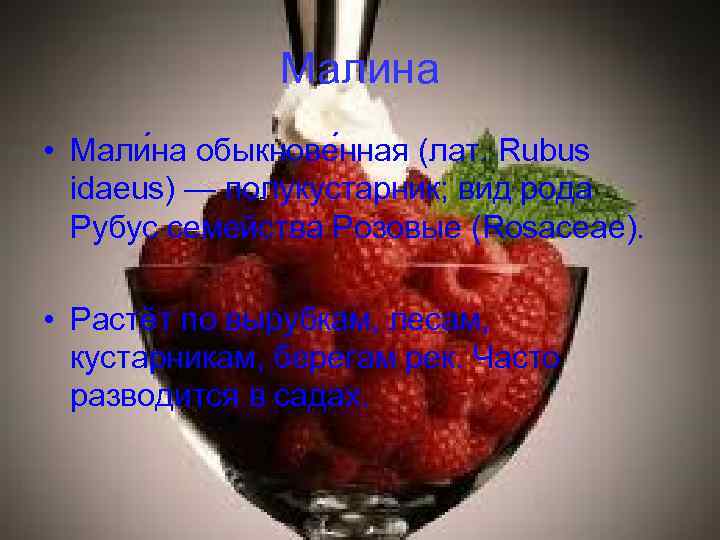 Малина • Мали на обыкнове нная (лат. Rubus idaeus) — полукустарник; вид рода Рубус