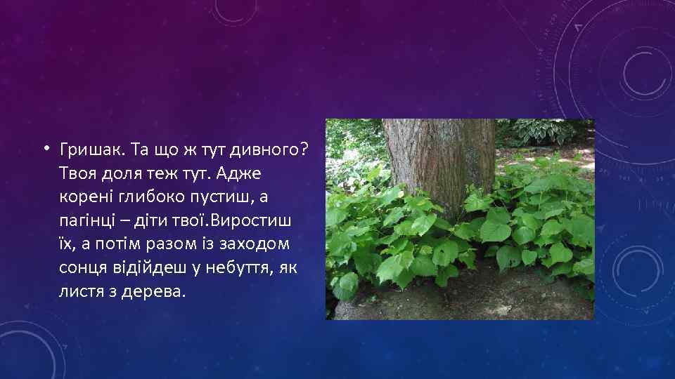  • Гришак. Та що ж тут дивного? Твоя доля теж тут. Адже корені