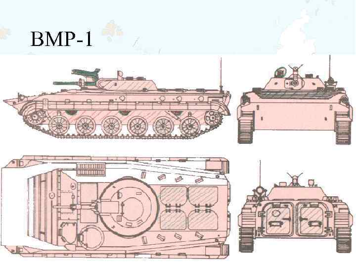 BMP-1 
