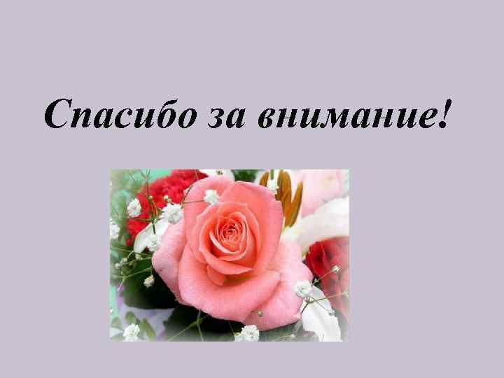 Спасибо за внимание! 