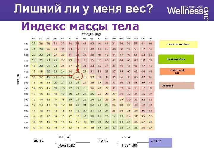 Индекс массы тела Вес (кг) Недостаточный вес Нормальный вес Рост (м) Избыточный вес Ожирение