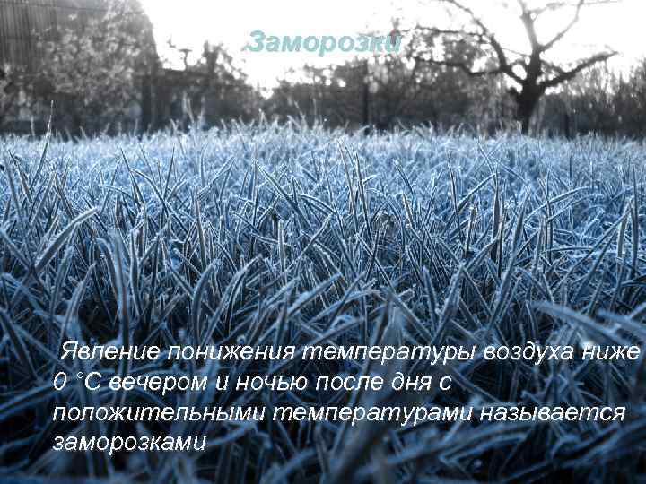 Заморозки Явление понижения температуры воздуха ниже 0 °С вечером и ночью после дня с