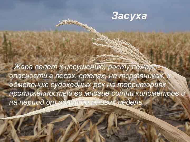 Засуха Жара ведет к иссушению, росту пожаро- опасности в лесах, степях, на торфяниках, к