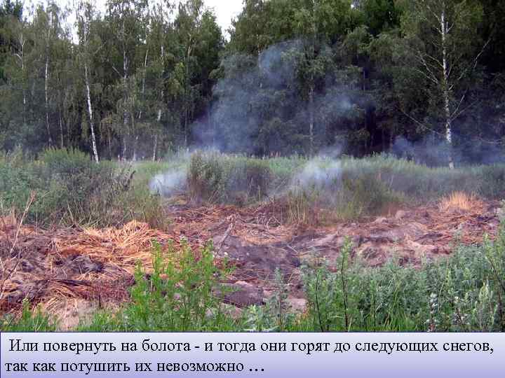 Или повернуть на болота - и тогда они горят до следующих снегов, так как