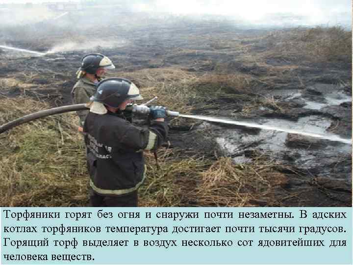 Торфяники горят без огня и снаружи почти незаметны. В адских котлах торфяников температура достигает