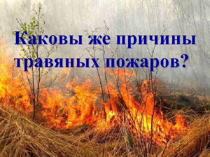 Каковы же причины травяных пожаров? 