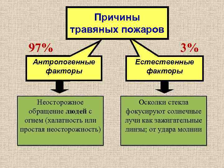 Причины травяных пожаров 97% Антропогенные факторы Неосторожное обращение людей с огнем (халатность или простая