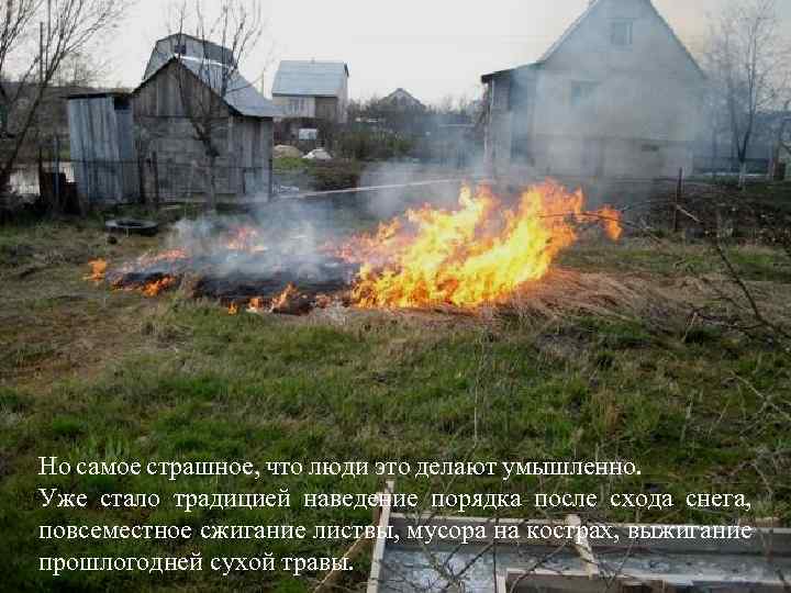 Но самое страшное, что люди это делают умышленно. Уже стало традицией наведение порядка после