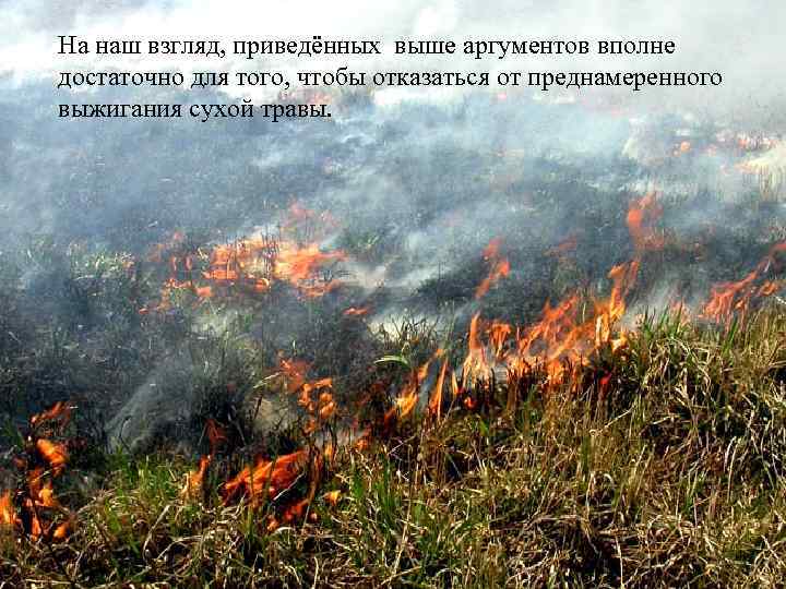 На наш взгляд, приведённых выше аргументов вполне достаточно для того, чтобы отказаться от преднамеренного