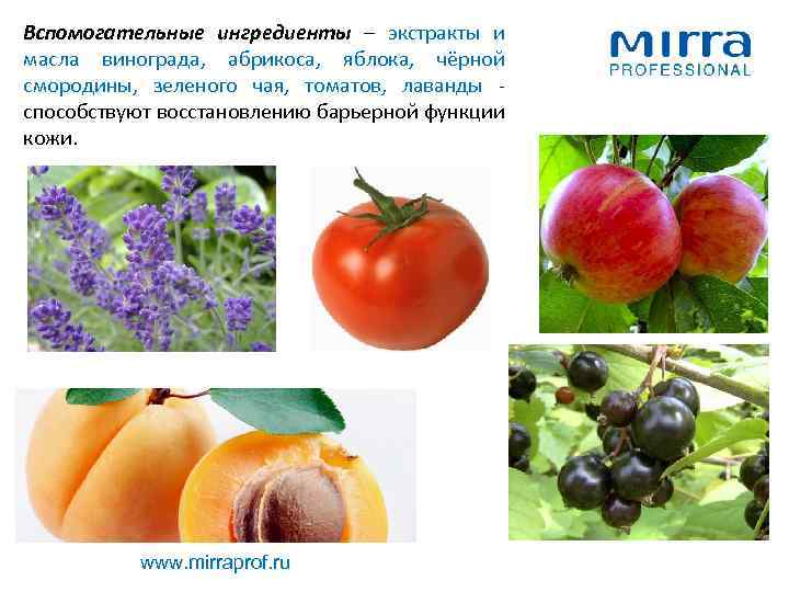 Вспомогательные ингредиенты – экстракты и масла винограда, абрикоса, яблока, чёрной смородины, зеленого чая, томатов,