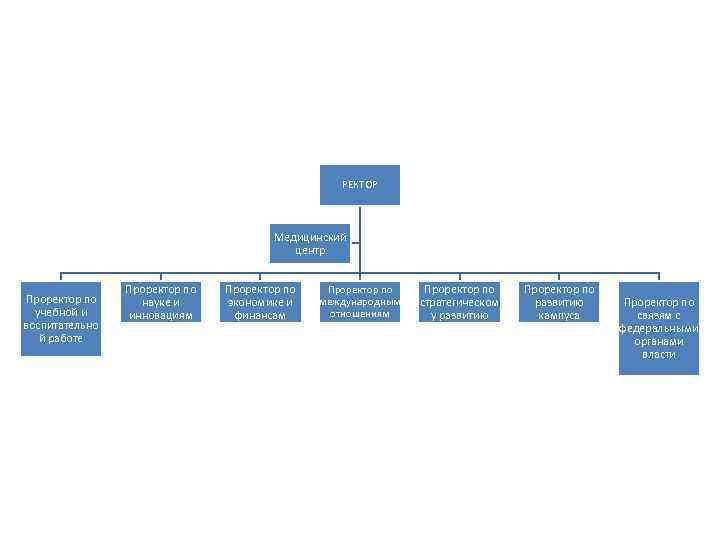 Ректор проректор декан схема