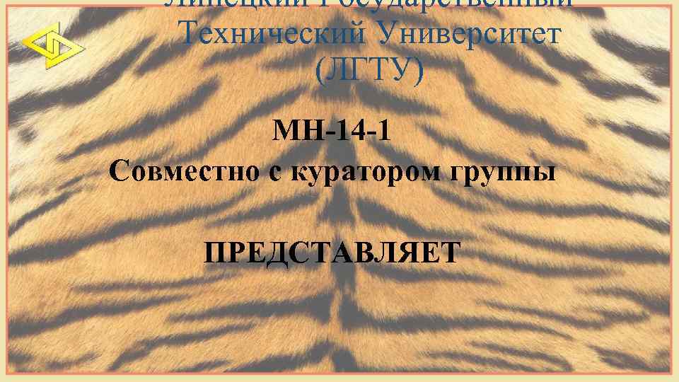 Липецкий Государственный Технический Университет (ЛГТУ) МН-14 -1 Совместно с куратором группы ПРЕДСТАВЛЯЕТ 