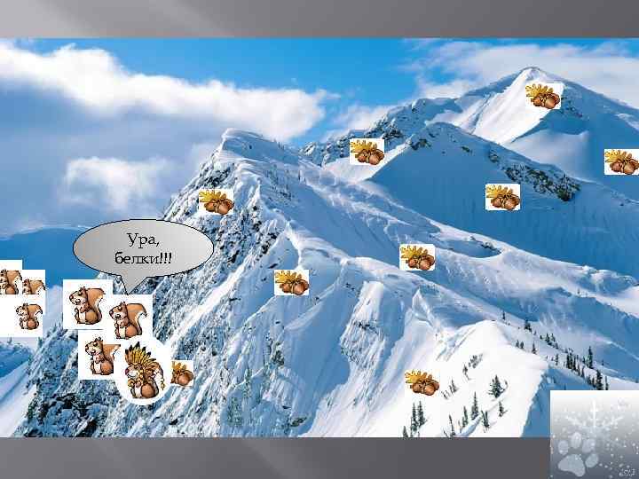 Ура, белки!!! 