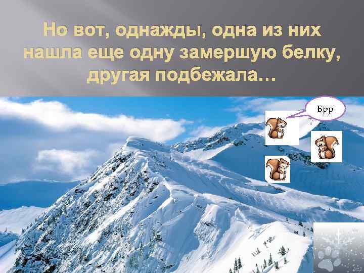 Но вот, однажды, одна из них нашла еще одну замершую белку, другая подбежала… Брр